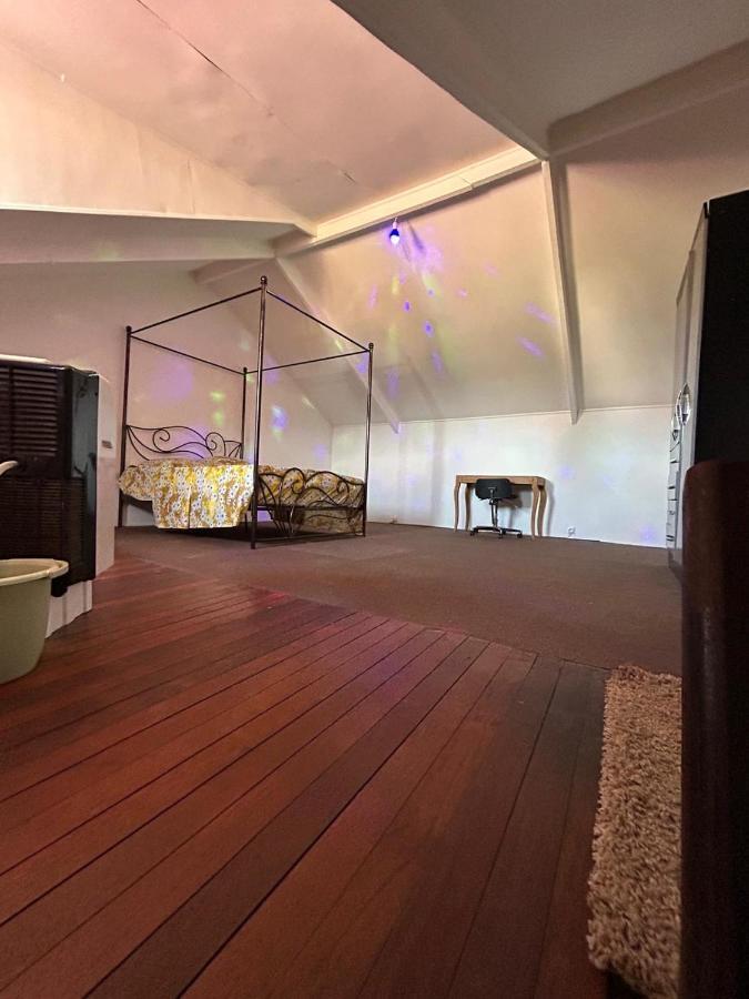 Le Duplex De Sainte Therese Cayenne Ngoại thất bức ảnh
